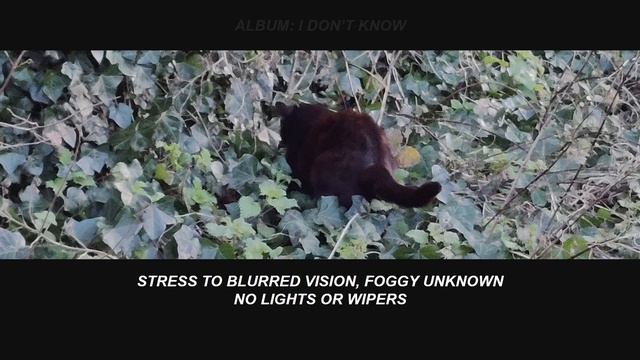I NEED A RIDE | LYRICS смотреть онлайн