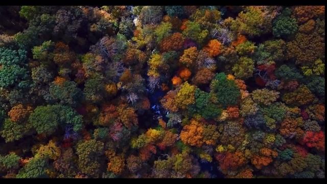 Сказка о потерянном времени смотреть онлайн