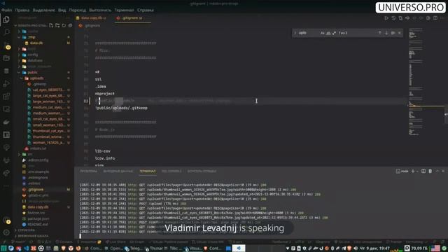 Создание нового проекта Quasar, использование GraphQL API в Strapi CMS (Strapi + Quasar #5) смотреть онлайн