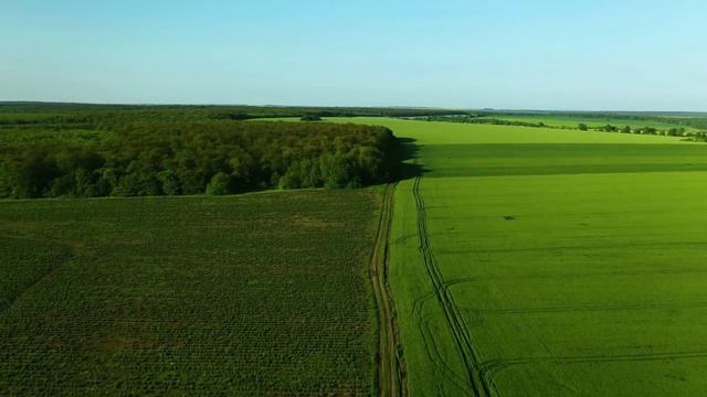 5 минут удивительных природных пейзажей и расслабляющей музыки для снятия стресса смотреть онлайн