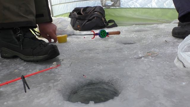 Зимняя рыбалка Ловля плотвы на вымя (в феврале). My fishing смотреть онлайн