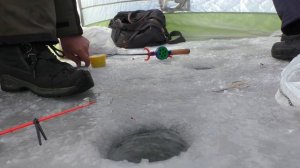 Зимняя рыбалка Ловля плотвы на вымя (в феврале).  My fishing