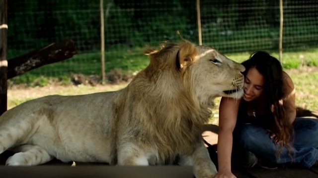 НИКТО НЕ МОГ В ЭТО ПОВЕРИТЬ! КОГДА МАЛЬЧИК ПОКАЗАЛ СВОЕГО ДРУГА, ВСЕ БЫЛИ ШОКИРОВАНЫ смотреть онлайн