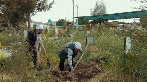 Ароқхўр гўрков... Alhazar