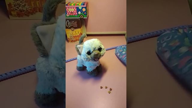 Интерактивная игрушка Hasbro Fur Real Friends - забавный котёнок Ками (обзор) смотреть онлайн