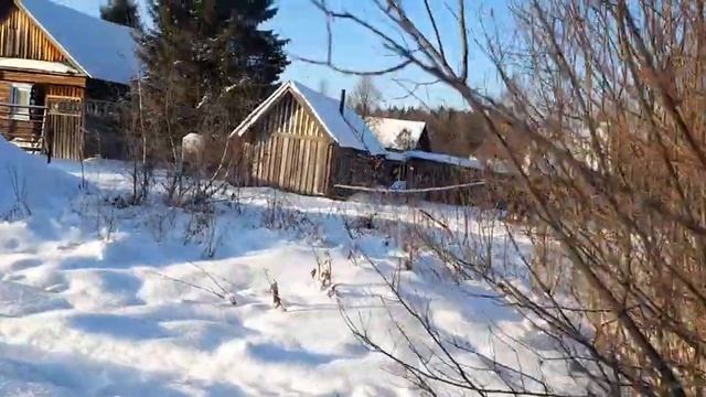 самодельная мотособака едет по снегу глубина примерно 50см