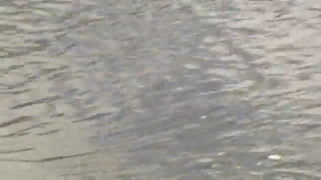 Поради рибалці: ловимо рибу на поплавкову вудку смотреть онлайн