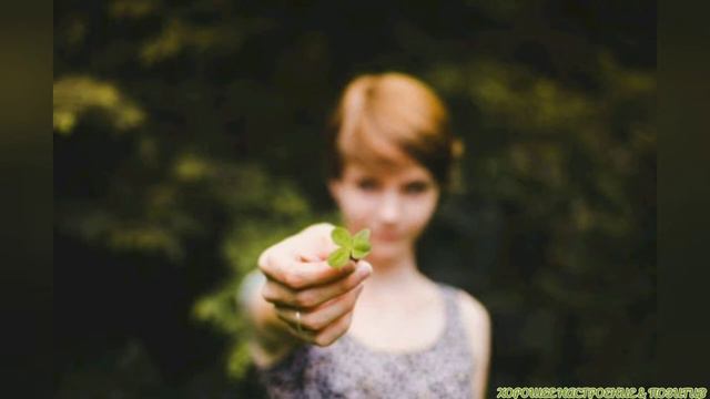 День поиска четырёхлистного клевера🍀/ПОЗДРАВЛЯЮ смотреть онлайн