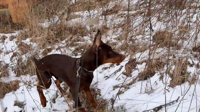 С прошедшим 23 февраля смотреть онлайн