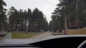 Прибытие Атаманово выбор места