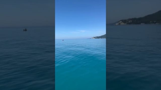 Архипо-Осиповка июнь 2024 года 🌤️ встреча с Дельфинами 🐬 на прогулке в открытое море 🌊 смотреть онлайн