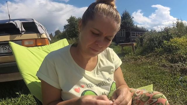 Пробуем 50 (!!!) сортов смородины, часть 2. смотреть онлайн