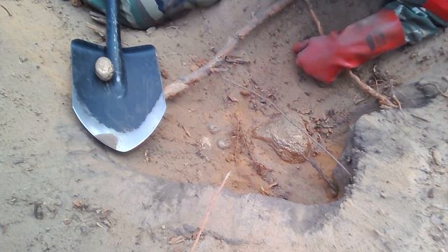 ЗОЛОТЫЕ САМОРОДКИ ВЕСОМ 10 КИЛОГРАММ! ПЕРЕСОХШЕЕ РУСЛО РЕКИ! GOLDEN GENTALS WEIGHT 10 KILOGRAMS!