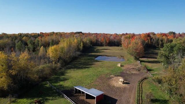 A nice fall day in the countryside смотреть онлайн