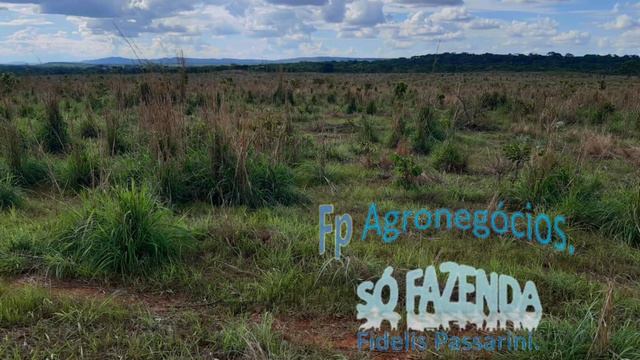 Fazenda Em Planalto Da Serra MT 6.400 Hectares Chama Zap 34 98415-1955