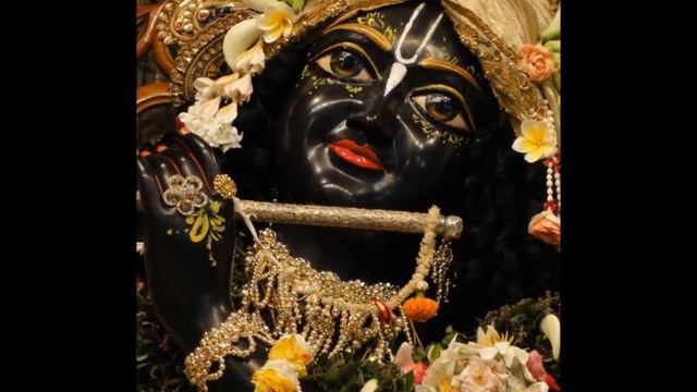 Jai Shri Krishna Flute Melodies смотреть онлайн