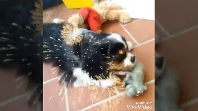 Италия.Пэппино. смотреть онлайн