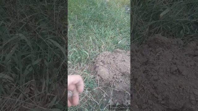 Metal detecting in historic town смотреть онлайн