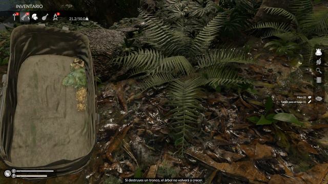 Como Conseguir Hojas Secas En Green Hell 🌴 Tutorial