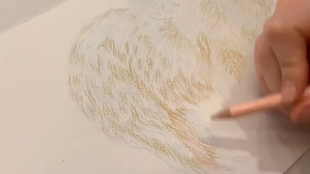 Как нарисовать животных. Рисуем белого мишку. Пошагово. Для начинающих. смотреть онлайн