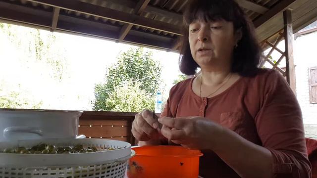 На даче в Беларуси смотреть онлайн