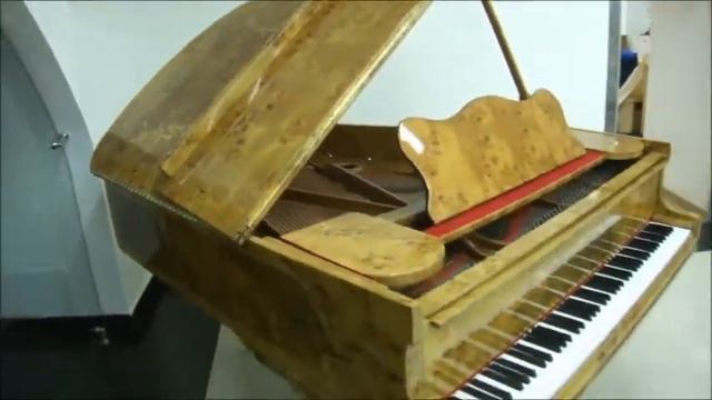 Дизайнерский рояль art case C. M. Schröder смотреть онлайн