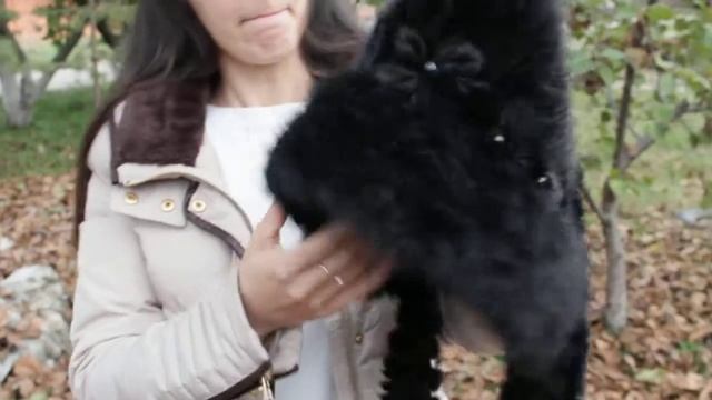 Капюшон, Лера Черная смотреть онлайн