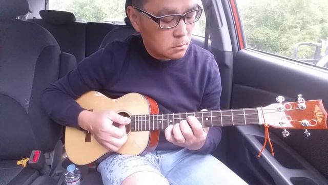 The Prayer - baritone ukulele solo смотреть онлайн