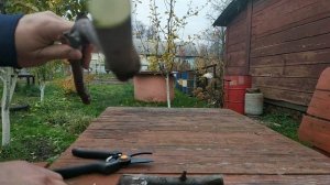 Секатор Финланд с храповым механизмом .Личное мнение.