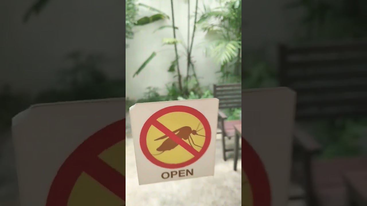 Превьюшка к обзору отеля Linnaya в городе Сием риеп #камбоджа смотреть онлайн