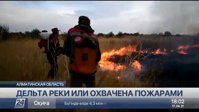Дельта реки Или охвачена пожарами смотреть онлайн