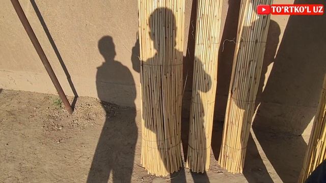 ТОЛ ВА ТУКИЛГАН КАМИШ НАРХЛАРИ смотреть онлайн