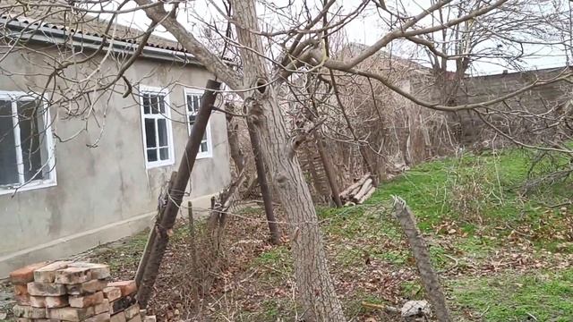 Саманный дом обзор смотреть онлайн