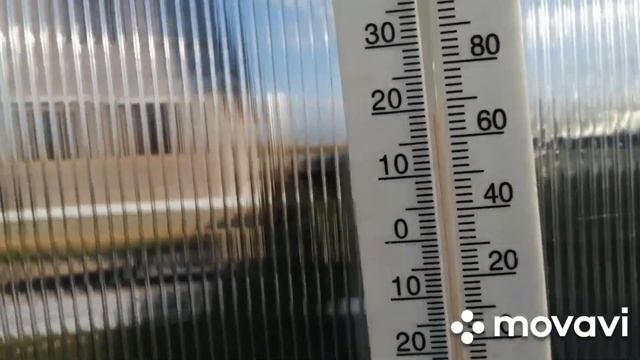 новости из парника 29 апреля 2022. кокосовую мульчу на вайлдберриз купила. смотреть онлайн