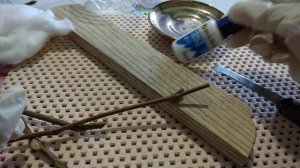 Укоренение черенков девичьего винограда. Продолжение. 3.03.2019