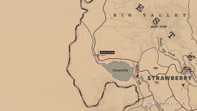 DAILY CHALLENGES EAGLES WHITETAIL DEER RASPBERRIES SAME LOCATION Red Dead Online смотреть онлайн