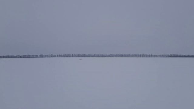 Стелс викинг 600 2.0 (погонял лисицу) смотреть онлайн