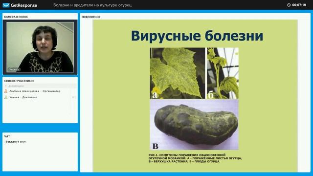 Вирусные болезни огурца в теплице смотреть онлайн