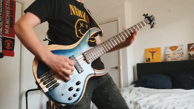 NIRVANA - Breed (Reading 1992 Live Version) | Bass Cover | Ibanez BTB 20th Anniversary смотреть онлайн
