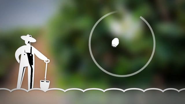 AndNowUKnow - Driscoll's Blackberries 2016 - What's In Store