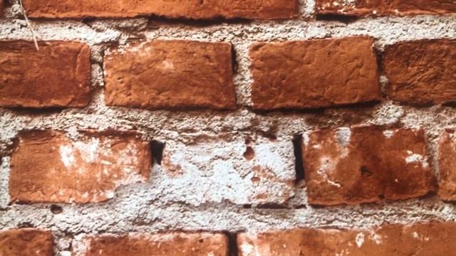 Обои Mistelo Флэт 1329-7