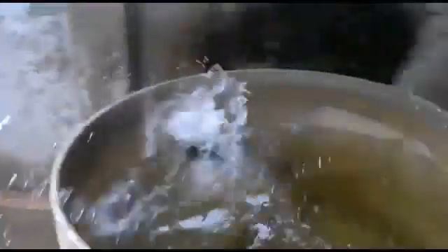 Самый невезучий кот смотреть онлайн