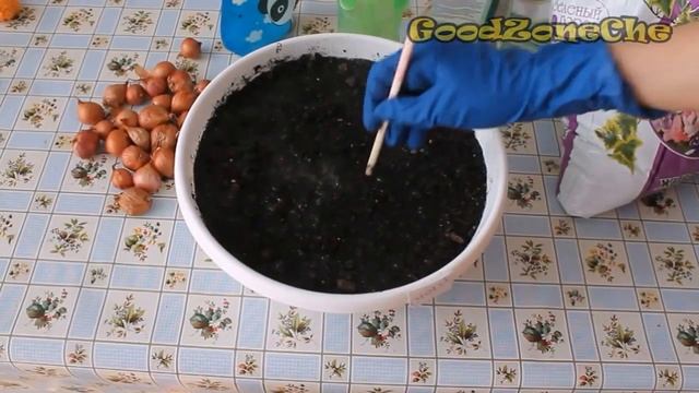 Как вырастить в домашних условиях мелкий и вкусный зеленый лук?! #Всепросто смотреть онлайн