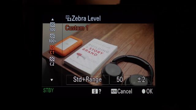 How to EXPOSE SLOG3 Correctly - Sony A7IV - FX3 - A7sIII - FX30 - Settings & Exposure - CINEMATIC смотреть онлайн