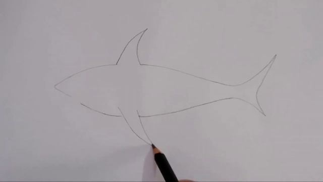 How to draw a Shark, Fish смотреть онлайн