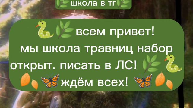 писать в коментарии, набор открыт 2022 год 14 ноября смотреть онлайн