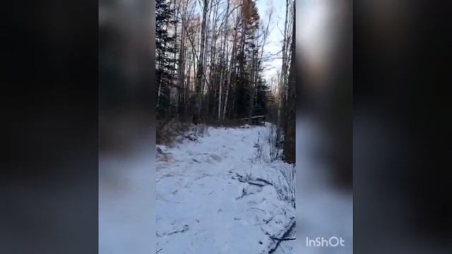 зонакомфорта Зимняя рыбалка ЕАО ленок р.Помпеевка декабрь 2020г смотреть онлайн