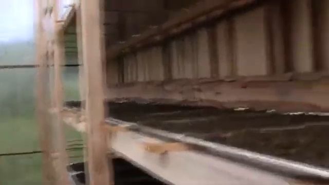 Супер - сушилка для иван - чая! смотреть онлайн