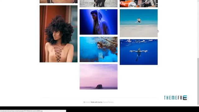 Shooter - Photography Portfolio WordPress theme | Free Templat смотреть онлайн