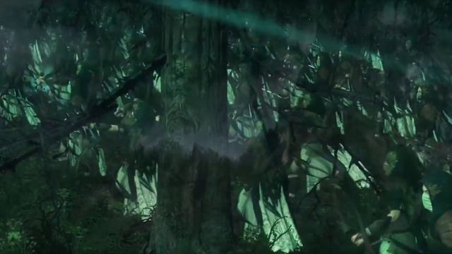 Эльфы Warhammer Fantasy: Лесные Эльфы, Высшие Эльфы, Темные Эльфы - в чем разница?